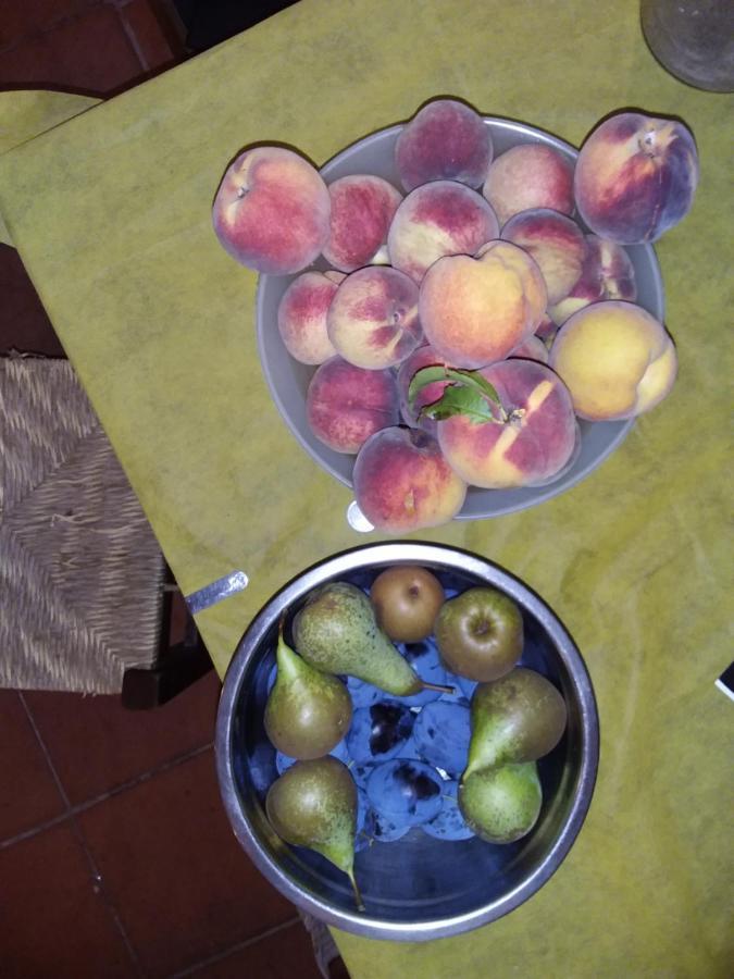 Podere Il Sorriso Degli Angeli Pistoia Kültér fotó